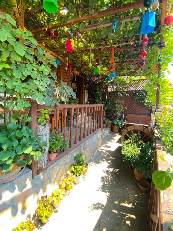 Avcioglu Konak Otel Safranbolu Ngoại thất bức ảnh